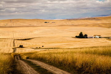 Dirt roads winding through stubble fields in the palouse wheat country in southeastern Washington. © Bob