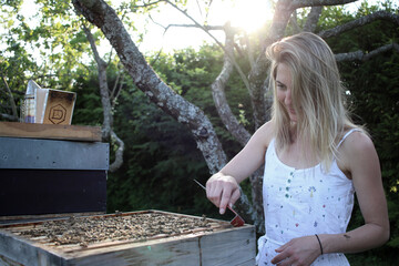 Junge Imkerin kontrolliert Bienenvolk mit Stockmeisel