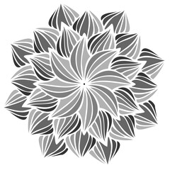 Modern isolated black and white illustration design of lined flower