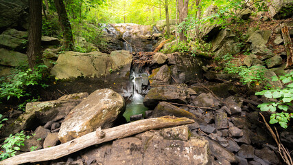 Beautiful Forest and Waterfall