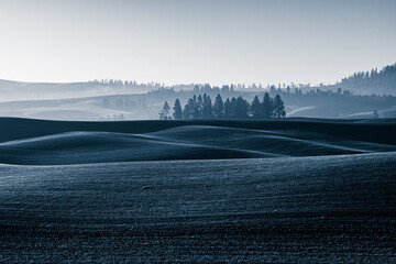 Palouse Landscape in November, WA