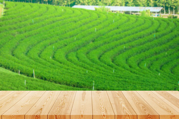 Wooden table with tropical of blurred image tea plantation at countryside.