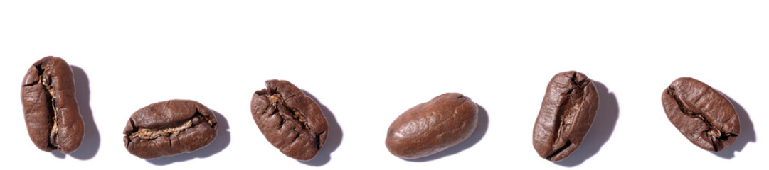 Very large coffee beans