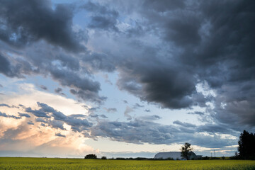 Storm clouds forming on the Canadian prairies over a canola field in Rocky View County Alberta.