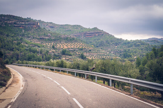 Valley of Margalef de Montsant, Catalunya, Spain, covered with olives and coniferous trees.
