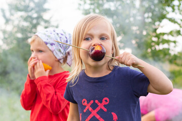 Children eat fruit at a picnic. Little girl eats fruit on a wooden skewer. Picnic, bonfire, smoke in the background. Life in nature, out of town, digital detox, travel. Summer holidays