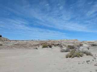 desert landscape in ischigualasto