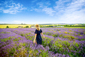 Woman walking through a field of lavender