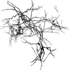 Vector abstract pattern for your game or background. Cracked wall