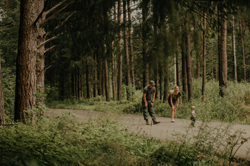 Obraz premium The family is walking in a pine forest.