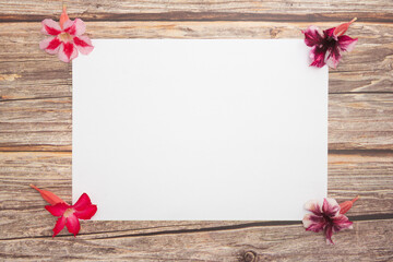 mockup blank paper sheet on a wooden background. flower spring border pink blossom, top view. Blank template for banner and advertising. flat lay.top down.