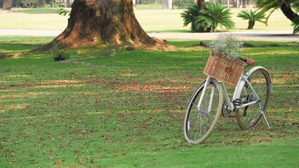 Vintage bike or bicycle and brown color wooden basket in the front and little white color flowers inside and national park background in the day time lighting which shown relaxation mood tone.