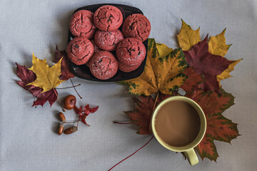 Cup of coffee with cranberry cookies and autumn multicolored maple leaves with acorns . Autumn concept. View from above