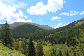 landscape in the mountains