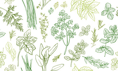 Herbs and spices seamless pattern, hand drawn botanical background - obrazy, fototapety, plakaty