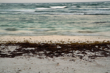 Long exposure shot. View of the beach at sunset. The blurred sea waves, sargassum seaweed, white sand shore and horizon. The water surface reflects the beautiful dusk light.