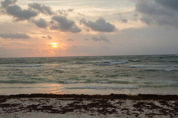 Romantic landscape. The beach at sunrise. The white sand, sargassum seaweed, coastline and sea waves. Beautiful dawn colors in the sky and sea water surface.