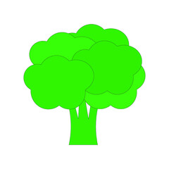 broccoli on white background