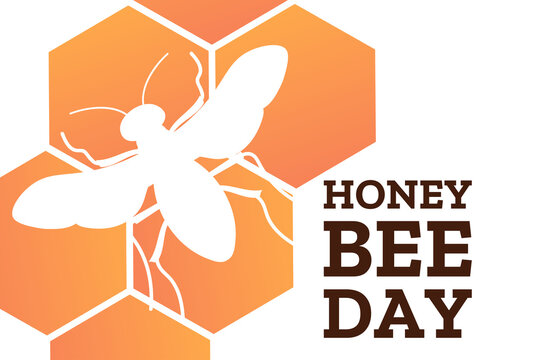 National Honey Bee Day. August 15. Holiday concept. Template for background, banner, card, poster with text inscription. Vector EPS10 illustration.