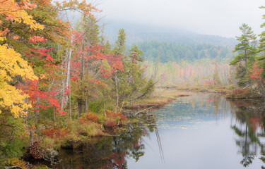 A wetland surrounded by a colorful forest in the autumn season in Adirondack National Park, Upper New York