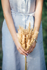girl in a dress and  ears of corn in her hands