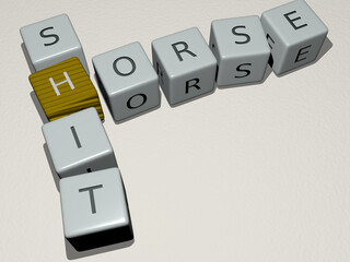 horse shit combined by dice letters and color crossing for the related meanings of the concept. animal and illustration © Ali