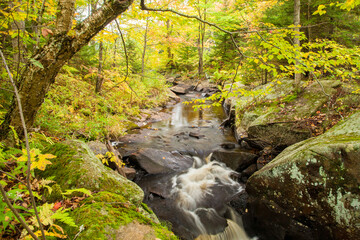 A mountain stream in Adirondack National Park in Upper New York