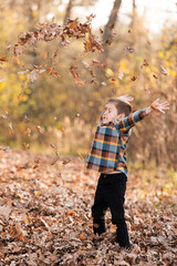 Adorable little boy plaing with yellow leaves in sunny autumn park