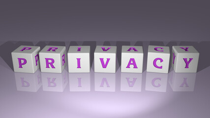 shiny Privacy built by cubic letters from the top perspective, excellent for the concept presentation in 3D illustration. security and protection