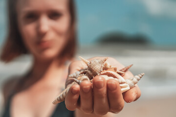 Beautiful Exotic Shells In Women Hand