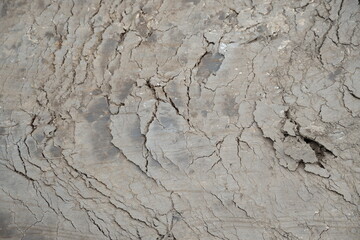 Closed up of dried cracked caked-on mud in vicinity of river. Can be used as background. Photo was taken during summer sunny day.