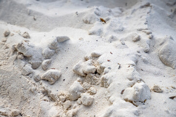 Fototapeta na wymiar White tropical sand beach, close up. The fine sand on the beach. Sand surface