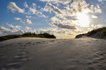 Dune on the West Coast of Denmark