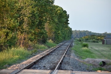 Railroad - Straight Train Tracks next to forest