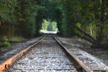 Obraz premium Railroad - Train Tracks Leading into Forest
