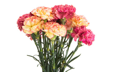 beautiful bouquet of mix carnations