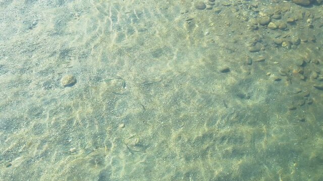 Beautiful play of Sun light on the stones and pebbles under water, shot at Murti river, Dooars, West Bengal, India. Abstract nature footage, shot from top angle.