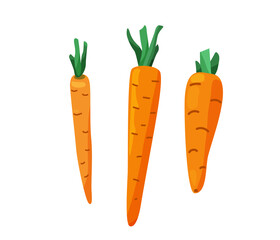 Three carrots with cut leaves in bright color cartoon flat style isolated on white background. Healthy food vector illustration. Organic meal concept