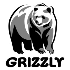 Bear Grizzly vector illustration, emblem design on white background