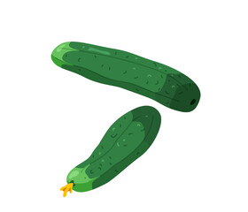 Two green cucumber with flower in bright color cartoon flat style isolated on white background. Healthy food vector illustration. Organic meal concept