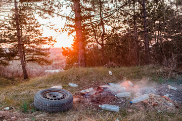 Junk left in the forest.