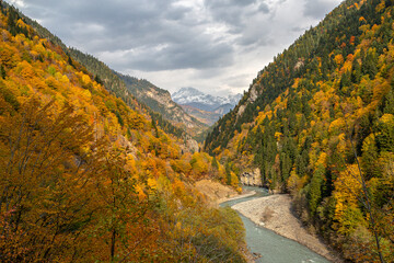Fall colors in the Caucasus Mountains, Georgia