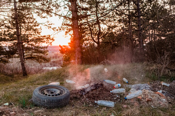 A mound of garbage in the forest.