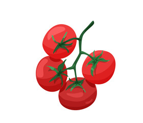Branch of red tomatoes in bright color cartoon flat style isolated on white background. Healthy food vector illustration. Organic meal concept