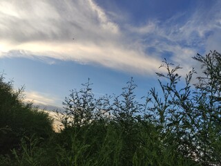 clouds over the field