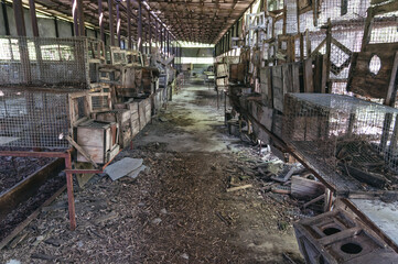 Laboratory of Hydrobiology animal building in Pripyat, Chernobyl exclusion Zone. Chernobyl Nuclear...