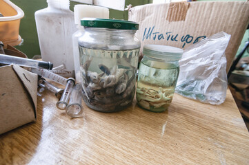 Laboratory of Hydrobiology animal building in Pripyat, Chernobyl exclusion Zone. Chernobyl Nuclear...