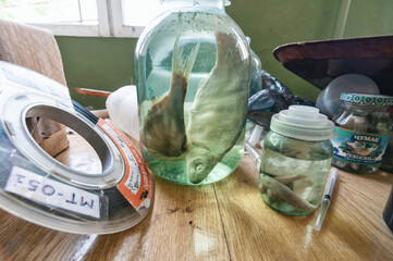 Laboratory of Hydrobiology animal building in Pripyat, Chernobyl exclusion Zone. Chernobyl Nuclear...