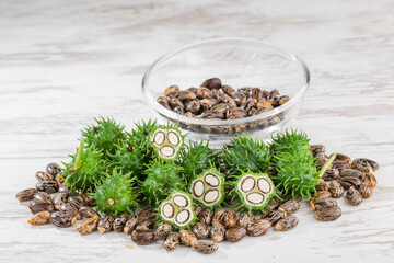 fruits and castor oil in bowl on the table, Ricinus communis