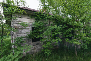 Country village houses in Pripyat, Chernobyl exclusion Zone. Chernobyl Nuclear Power Plant Zone of Alienation in Ukraine